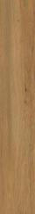TRUELAND GOLD 19,8X119,8x0,9